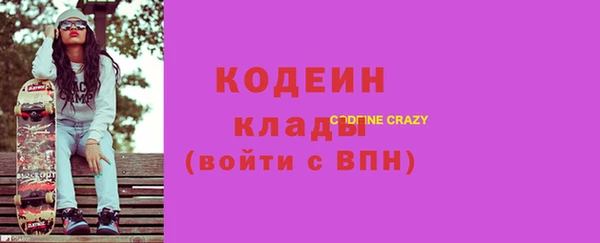 ПСИЛОЦИБИНОВЫЕ ГРИБЫ Арсеньев