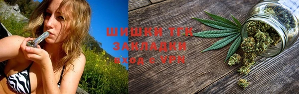 ПСИЛОЦИБИНОВЫЕ ГРИБЫ Арсеньев