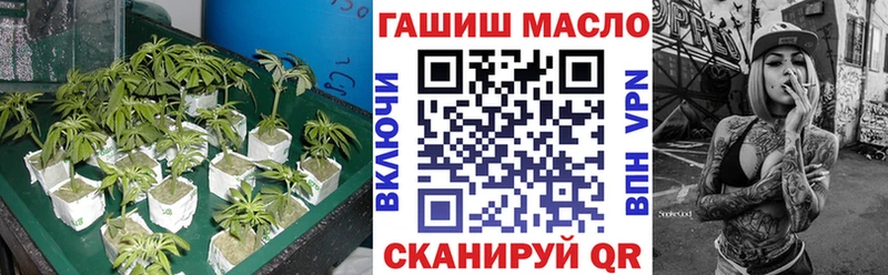 Купить закладки  Навашино  Дистиллят ТГК гашишное масло 